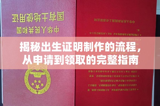 中国台湾揭秘出生证明制作的流程，从申请到领取的完整指南